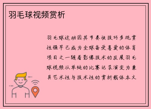 羽毛球视频赏析
